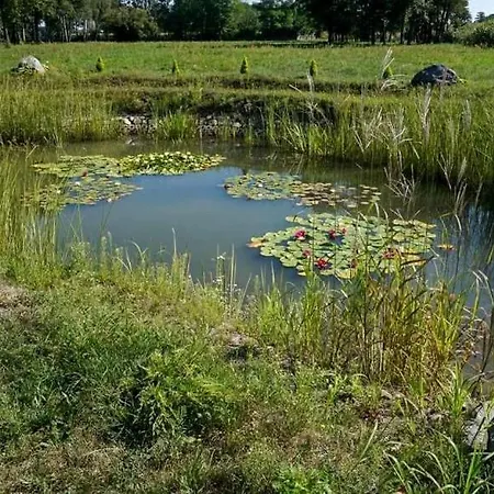 Feliksow Κατάλυμα σε φάρμα