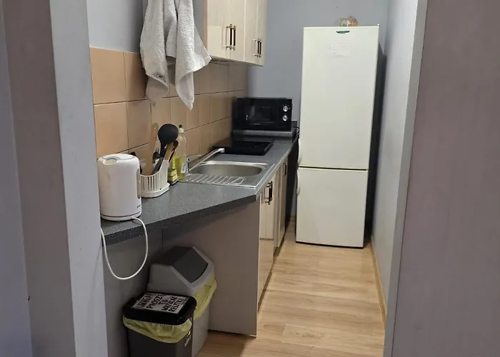 ファームステイ Feliksow Wiskitki