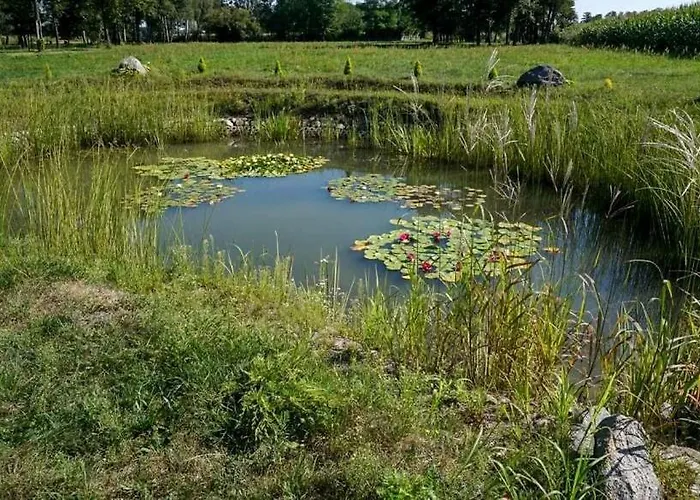 Feliksow ファームステイ