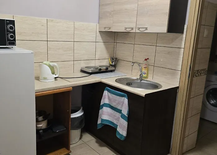 ファームステイ Feliksow Wiskitki